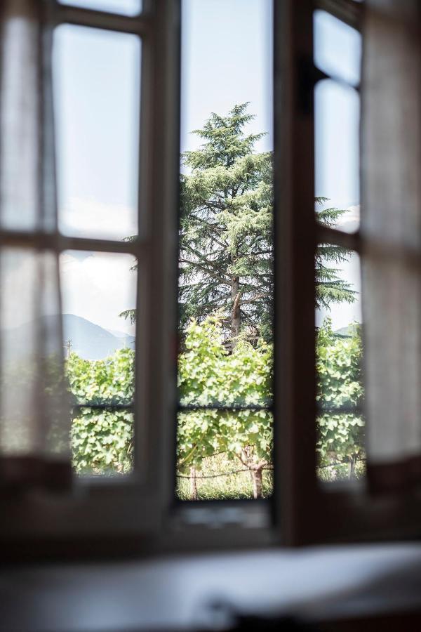 Апартаменты Weingut Kornell - Schafferhaus Cosmas Und Zeder Терлано Экстерьер фото